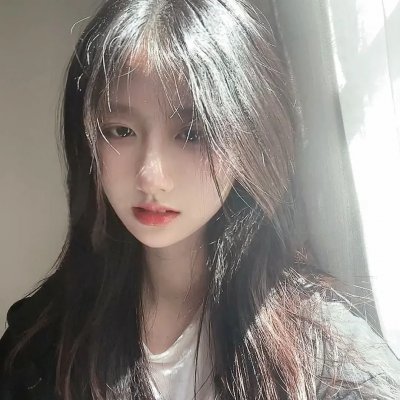 我的朋友是萌鲨
